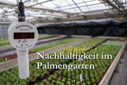 Dossier_Nachhaltigkeit_Thumb_260508
