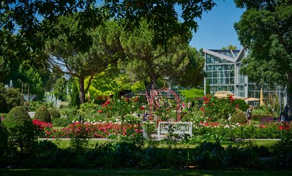 Das Haus Rosenbrunn steht mitten im Grünen. Vor dem Haus Rosenbrunn blühen die Rosen im Rosengarten. In der Nähe stehen einige weiße Bänke.