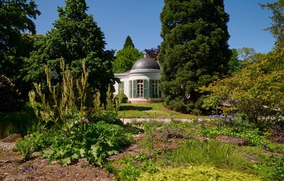 Ein Erker der Villa Leonhardi schaut zwischen Bäumen und Büschen hervor.