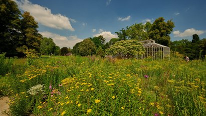 Das Subantarktishaus mit seiner abgedunkelten Glasfassade steht hinter einer bunten Blumenwiese. Darunter befinden sich gelbe und rosafarbene Blumen.