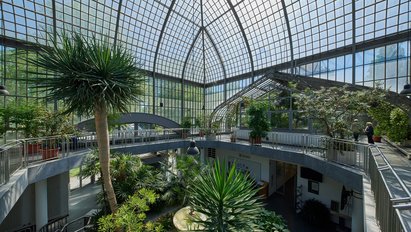 Im Inneren des Eingangsschauhauses. Die Pflanzen erstrecken sich teilweise bis zu einer Galerie nach oben. Von der Galerie aus wurde fotografiert. Auf der Galerie stehen verschiedene große Pflanzen in Töpfen. Eine Glaskuppel erstreckt sich über der Galerie.