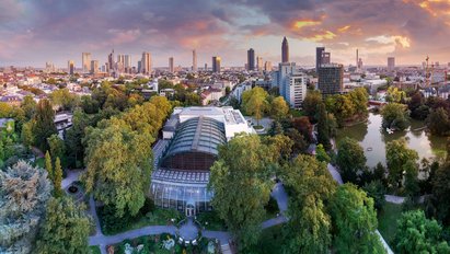 © cameraflights.com Das Palmenhaus aus der Vogelperspektive umgeben von Bäumen. Rechts neben dem Haus, liegt der Bootsweiher. Im Hintergrund die Stadt Frankfurt am Main mit ihren Hochhäusern.