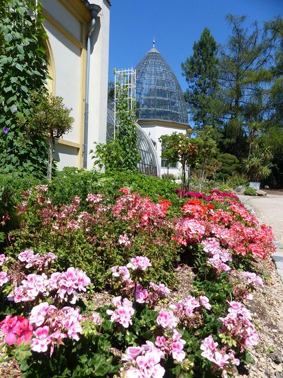 Ein Seitenschiff des Haus Leonhardsbrunn mit seiner gläsernen Kuppel. Im Vordergrund blühen rosafarbene und pinkfarbene Blumen.