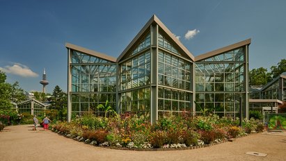 Das Tropicarium im Palmengarten mit seiner durchsichtigen Fassade. Vor dem Tropicarium befindet sich ein Beet mit verschiedenen bunten Pflanzen.