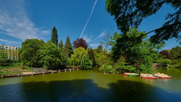 ein Weiher befindet sich mitten im Palmengarten. Ihn umgeben grüne Bäume. Auf der rechten Seite schwimmen einige Tretboote im Wasser.