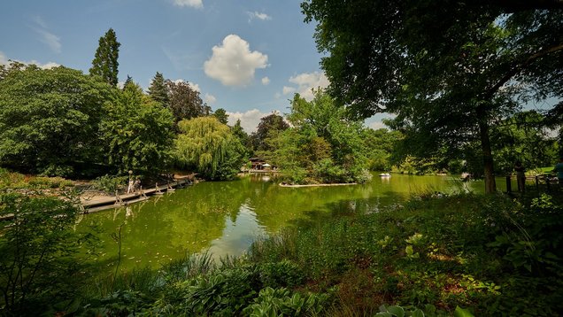 Ein Weiher ist von vielen Bäumen umgeben. Die Bäume spiegeln sich auf der Wasseroberfläche. Neben dem Weiher laufen zwei Menschen auf einem Steg entlang.