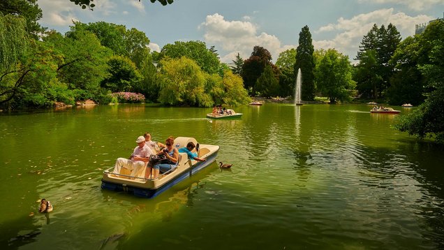 Auf einem Weiher treiben einige Tretboote. In ihnen sitzen Menschen. Im Vordergrund sitzt eine Familie in ihrem Tretboot. Braun gemusterte Enten schwimmen auch im Weiher.