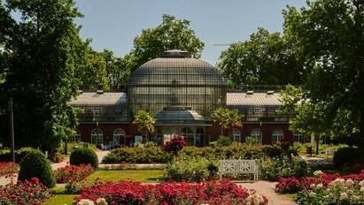 Das Eingangsschauhaus des Palmengartens mit seinen gläsernen Decken und einer gläsernen Kuppel. Davor blühen rote und gelbe Rosen. Im Hintergrund um das Eingangsschauhaus herum stehen Bäume.
